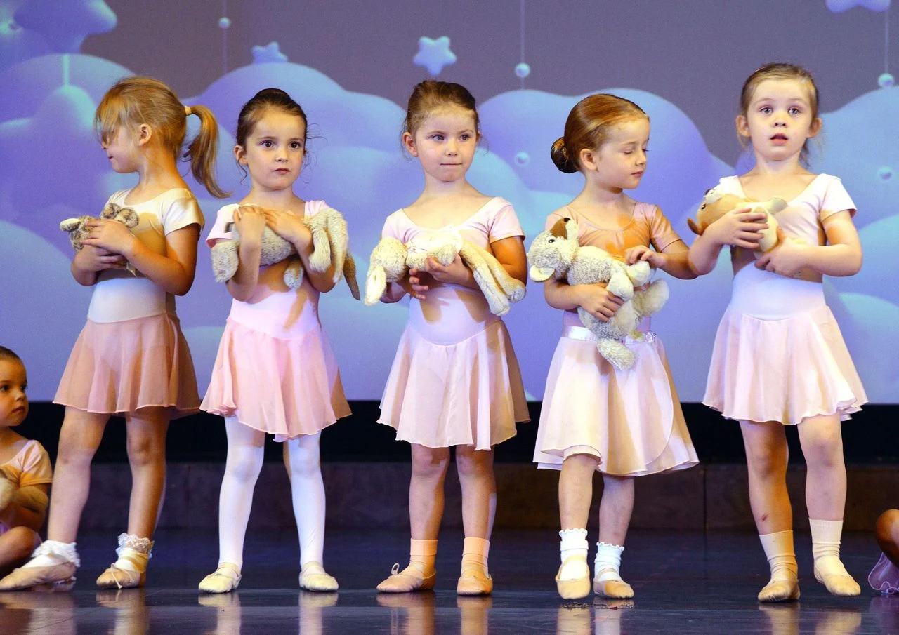 DINKY DANCERS banner DINKY DANCERS