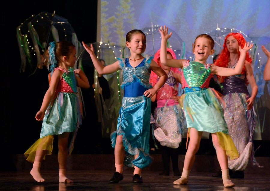 Mini Movers Mini Movers